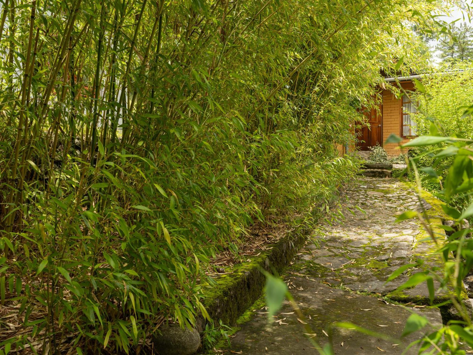 Tiger'S Nest Resort - Best Resort In パロ エクステリア 写真